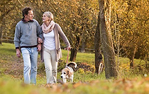 Young couple walking a dog