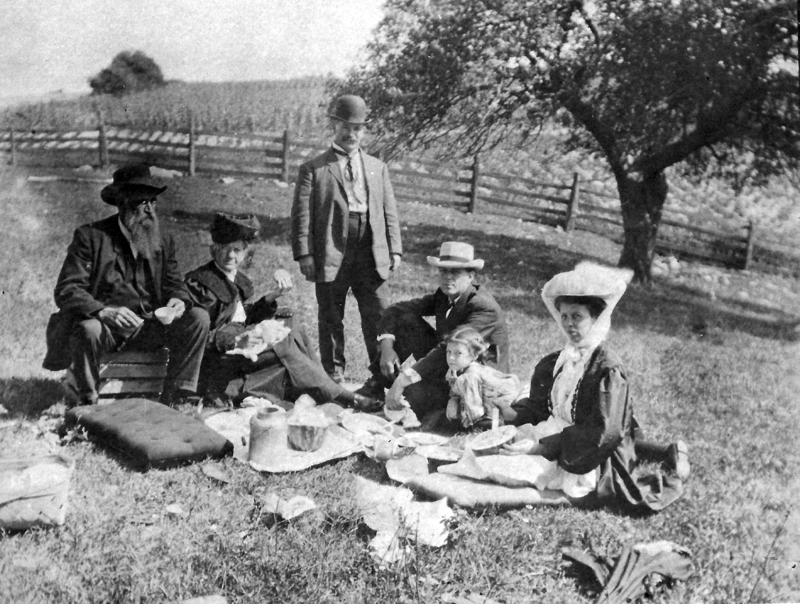 visitors